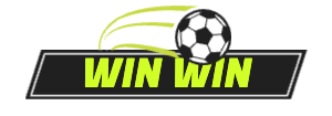 winwin-ke.com